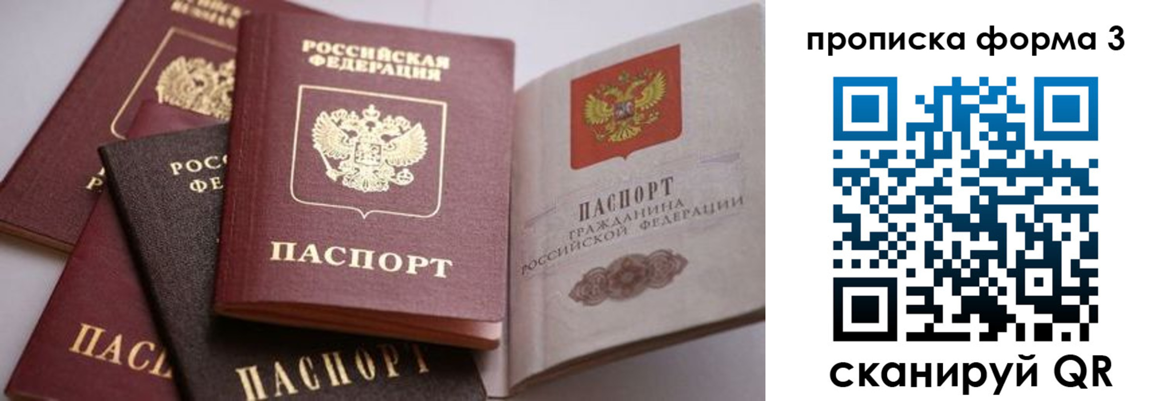 прописка для школы в Коле